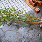 台風対策で失敗しない！アンテナの点検・補強・保険活用まで完全解説